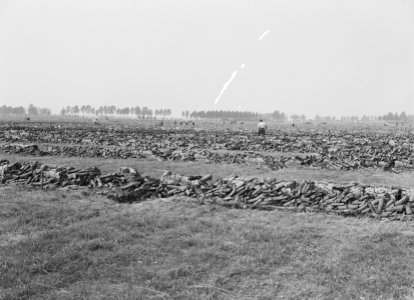 Drainage, werkzaamheden, Maas en Waal, Bestanddeelnr 160-0315