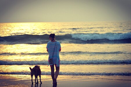 Photography beach dog photo