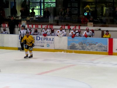 Dragons de Rouen - Tigers de Langnau, 8 août 2017 - 10