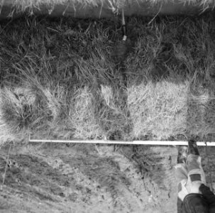 Drainage, slangen, plastic, Tweede Wereldoorlog, Bath-Polder, Bestanddeelnr 160-0341