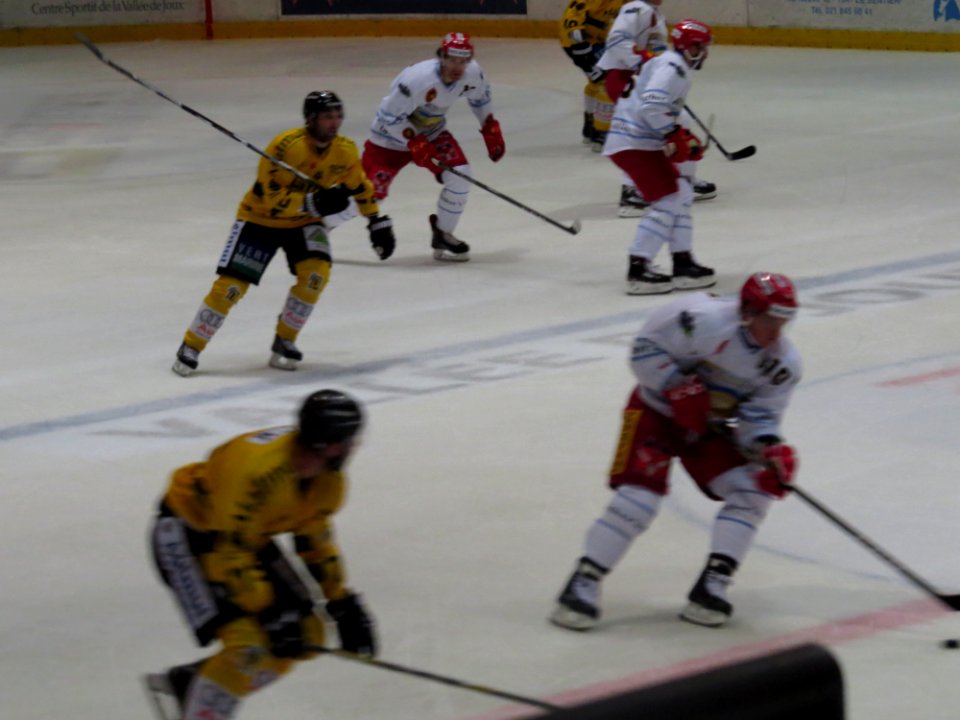 Dragons de Rouen - Tigers de Langnau, 8 août 2017 - 19