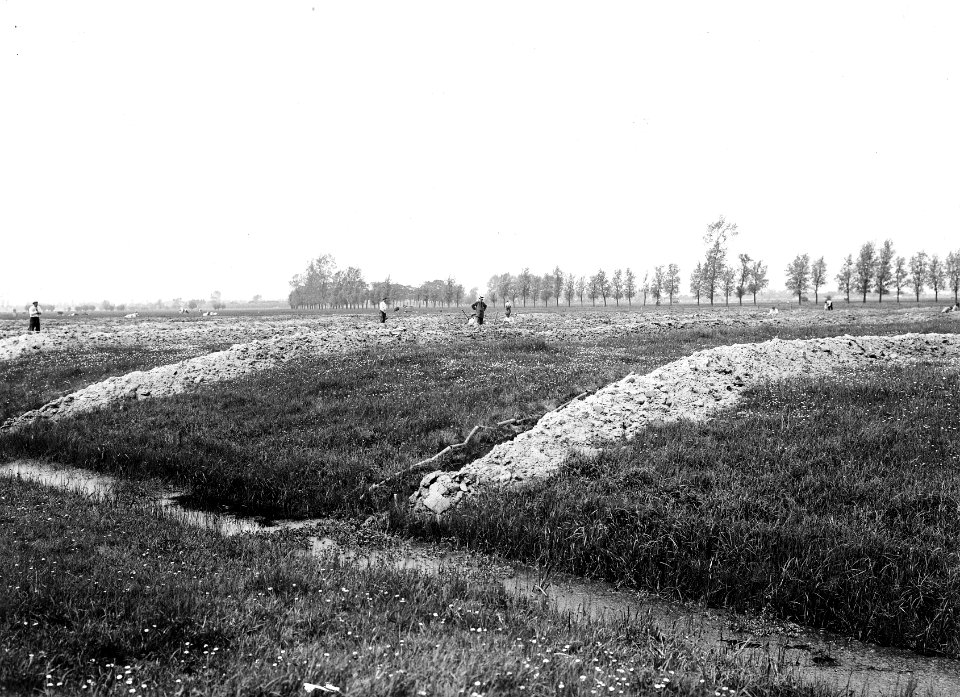 Drainage, terreinen, overzichten, Bestanddeelnr 192-0723