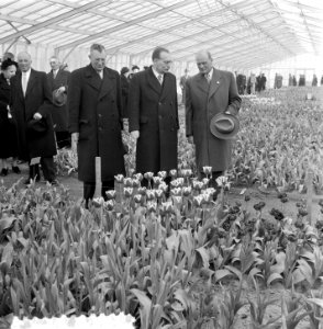 Dr. Drees opent Keukenhof Lisse, Bestanddeelnr 905-6141