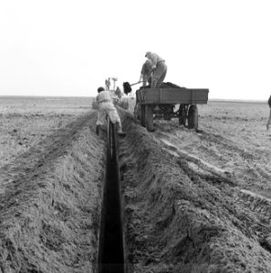 Drainage, machines, arbeiders, afdekken, lollebroek, Bestanddeelnr 160-0534