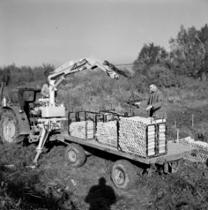 Drainage, buizen, arbeiders, machines, heusden, altena, Bestanddeelnr 160-0560