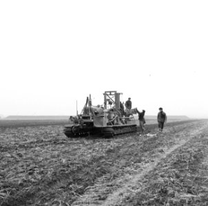 Drainage, machines, arbeiders, bos en kalis nv, IJpolder, Bestanddeelnr 160-0433