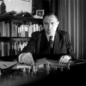 Dr. Euwe aan de schaakstudie, Bestanddeelnr 902-5921