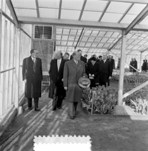 Dr. Drees opent Keukenhof Lisse, Bestanddeelnr 905-6138