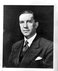 Dr. N.A.C. Slotemaker de Bruïne, directeur van het Netherlands Information Burea, Bestanddeelnr 935-1003