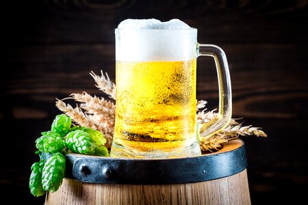 Beer chopp Free photos