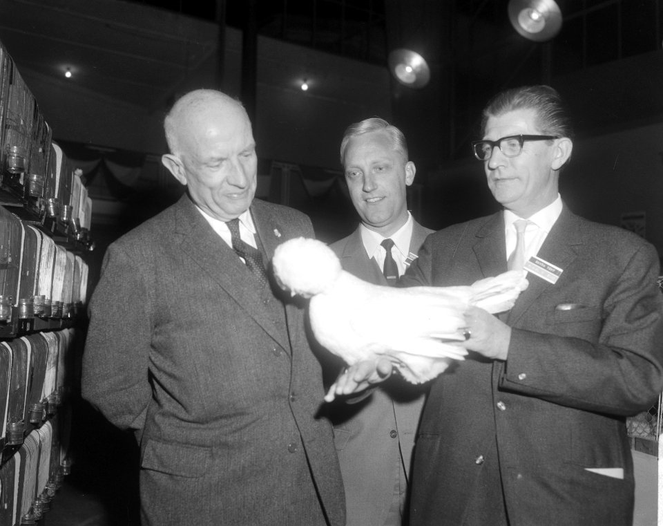 Dr. P.J. Koets wethouder van onderwijs, jeugdzorg en volksontwikkeling, openbare, Bestanddeelnr 919-7966