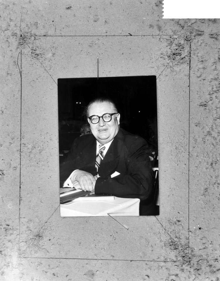 Dr. Pittermann van de Socialistische Internationale, Bestanddeelnr 918-3677