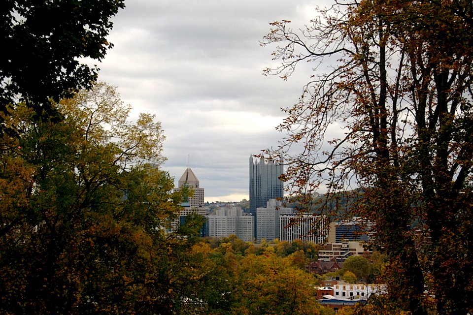 Downtown Pittsburgh from Union Dale Cemetery, 2020-10-24, 01