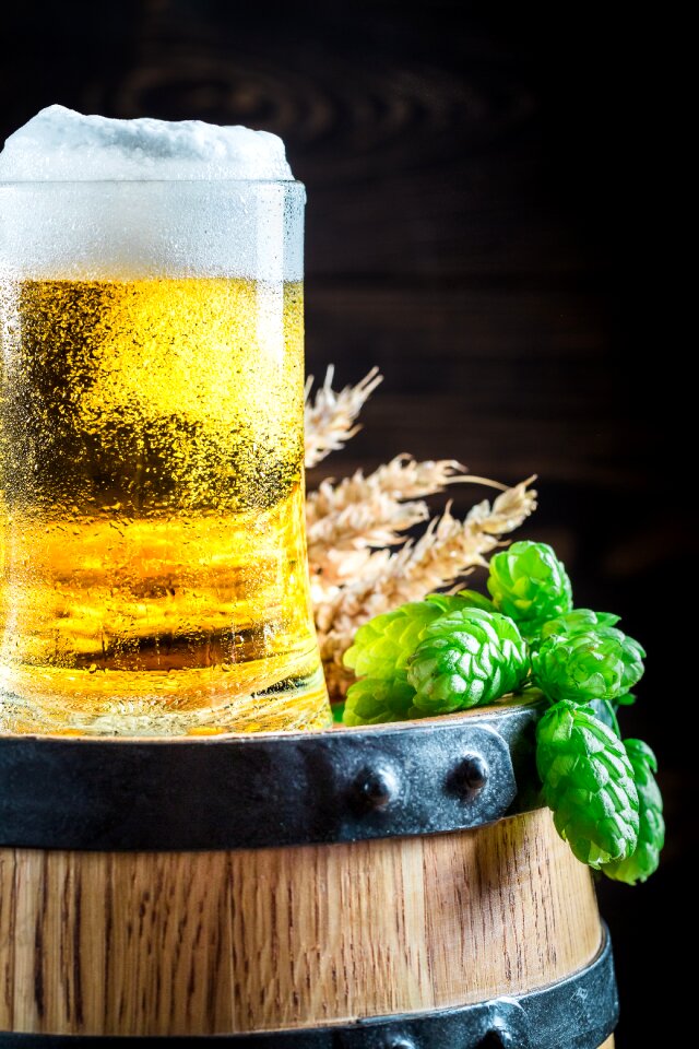 Beer party alcohol