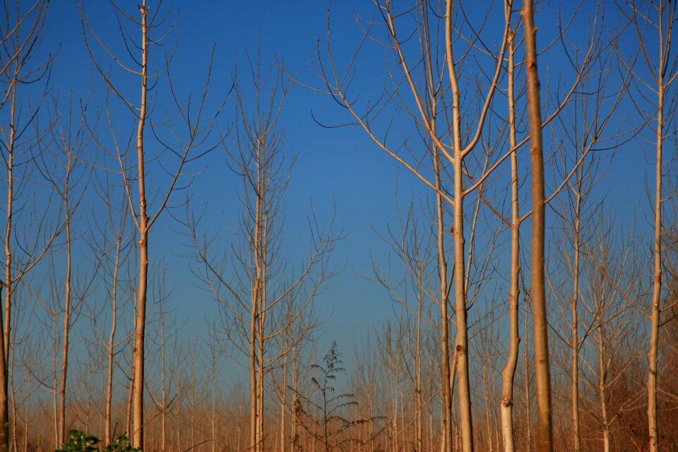 Winter landscape sky