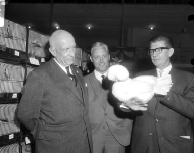 Dr. P.J. Koets wethouder van onderwijs, jeugdzorg en volksontwikkeling, openbare, Bestanddeelnr 919-7964