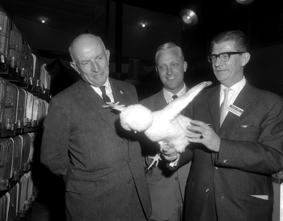 Dr. P.J. Koets wethouder van onderwijs, jeugdzorg en volksontwikkeling, openbare, Bestanddeelnr 919-7965