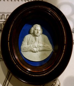 Dr Erasmus Darwin, by William Hackwood after Joseph Wright of Derby, c. 1780, white jasper with blue dip, white relief - Wedgwood Museum - Barlaston, Stoke-on-Trent, England - DDSC09616