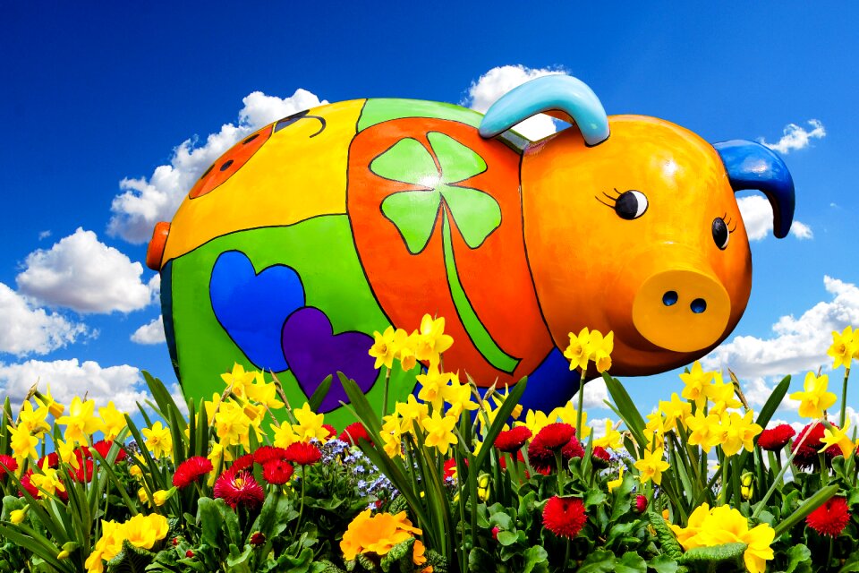 Flower meadow blossom bloom