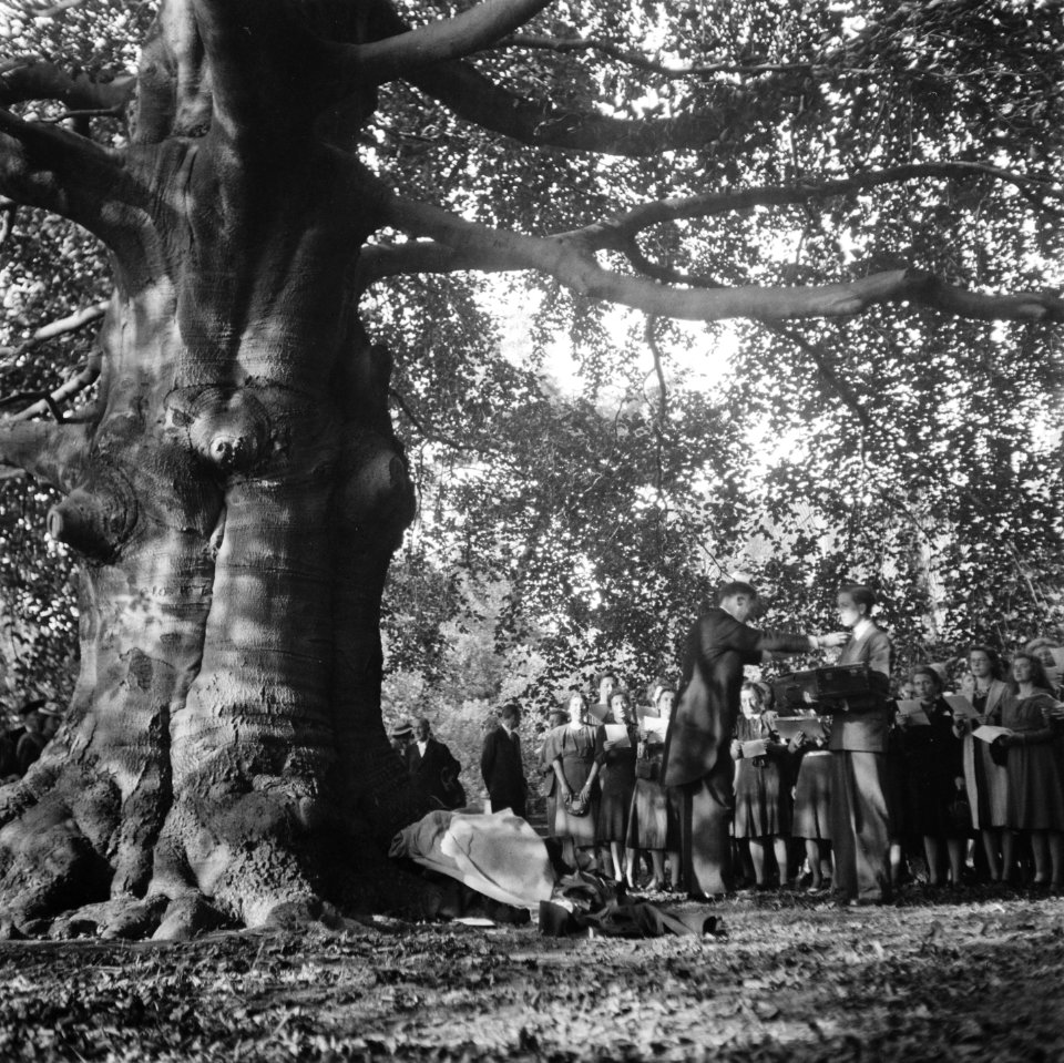 Dirigent en het Leidsch Studenten Zangkoor bij een grote beuk in de Hortus, Bestanddeelnr 900-7944