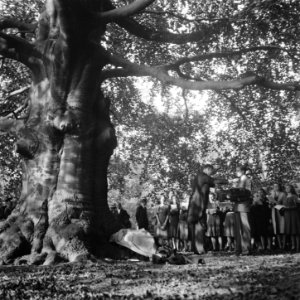 Dirigent en het Leidsch Studenten Zangkoor bij een grote beuk in de Hortus, Bestanddeelnr 900-7944