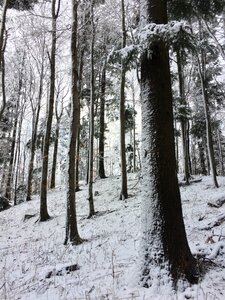 Sljeme europe zagreb