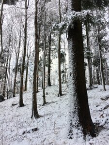 Sljeme europe zagreb photo