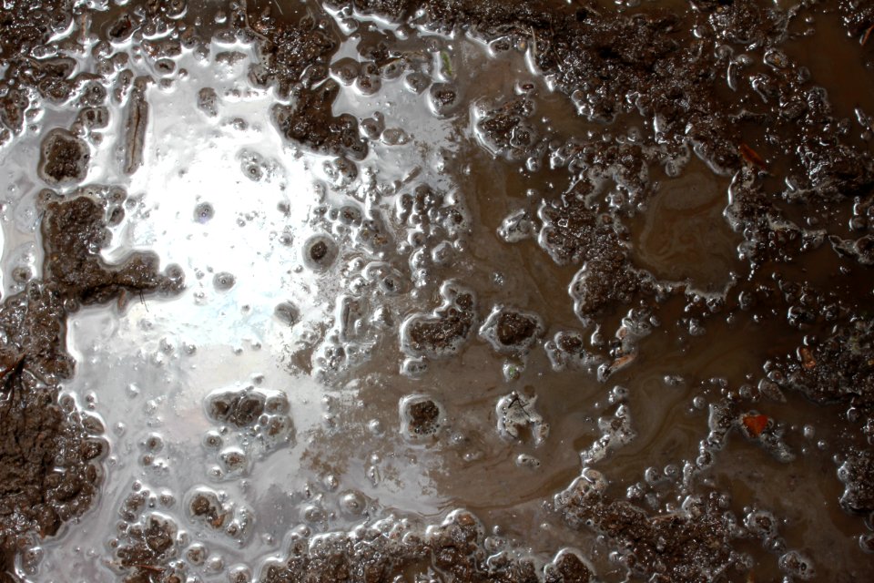 Dirt and Mud 003 - Muddy Water