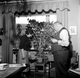 Dirk Nak en zijn vrouw in hun woonkamer, Bestanddeelnr 252-9021