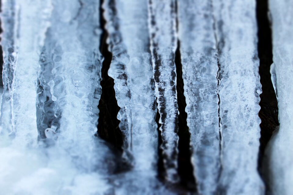 Frost frozen desktop photo
