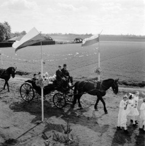 Diamanten bruiloft Hendrikse-Roozen te Altweert (L), Bestanddeelnr 901-7075