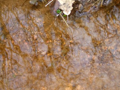 Deutergraben am Waldrand, Bachsohle