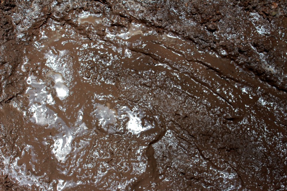 Dirt and Mud 006 - Mud