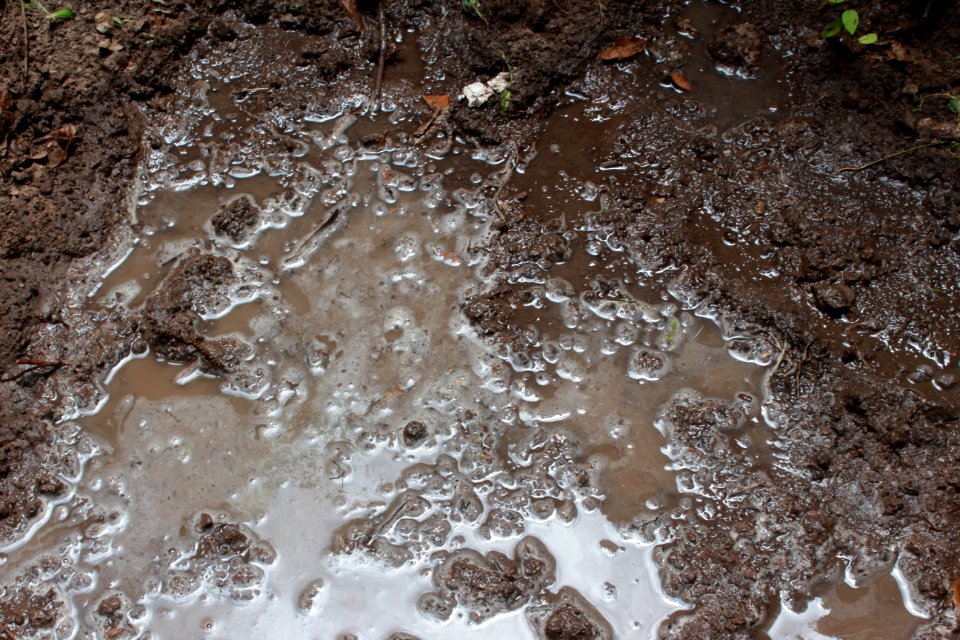 Dirt and Mud 005 - Muddy Water