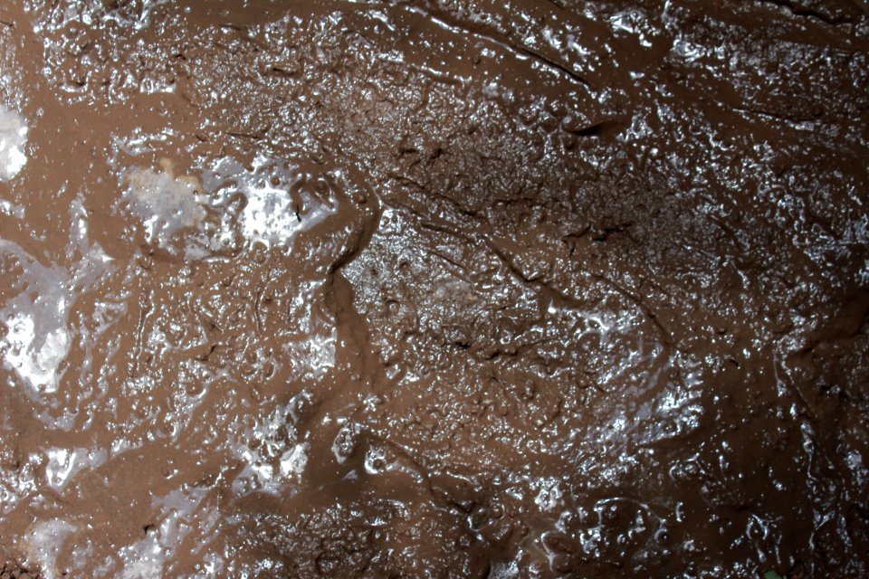 Dirt and Mud 007 - Mud