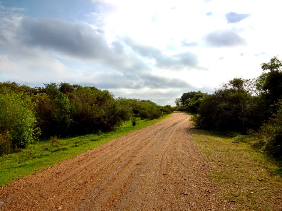 Dirt road in Artigas Department