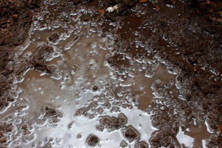 Dirt and Mud 004 - Muddy Water