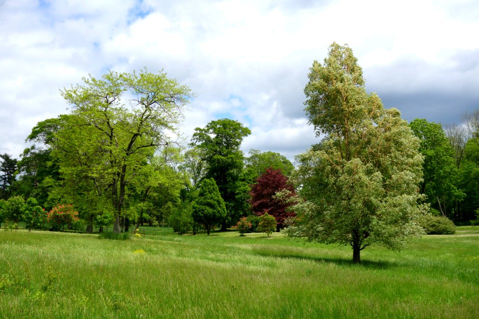 Dawes Arboretum - DSC02865