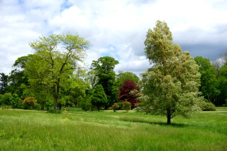 Dawes Arboretum - DSC02865