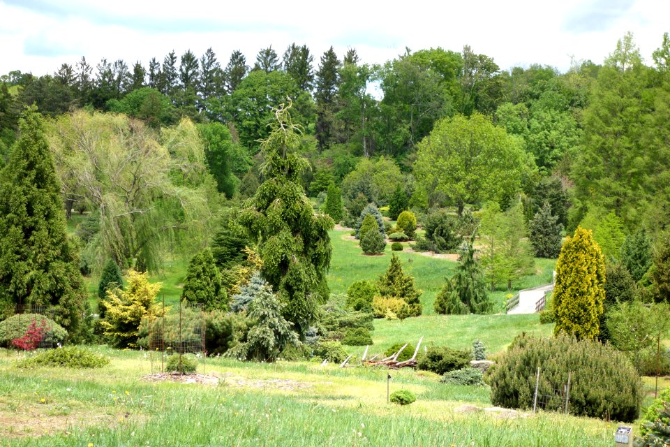 Dawes Arboretum - DSC02935