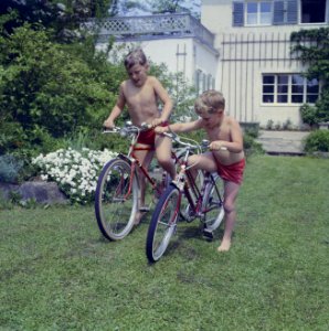 De zoontjes Kreisselmeier met hun fietsen, Bestanddeelnr 254-4952