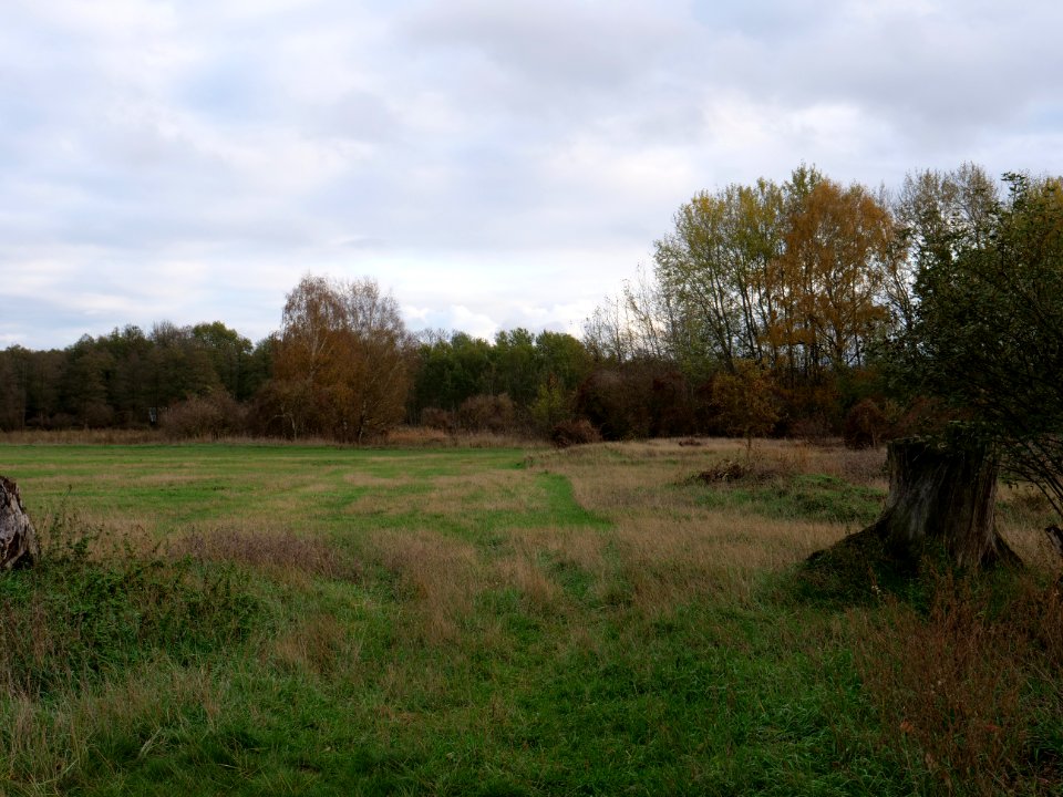 Das Heidefeld Großbeeren on 2019-11-05 26