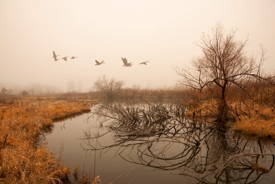 Winter water fog