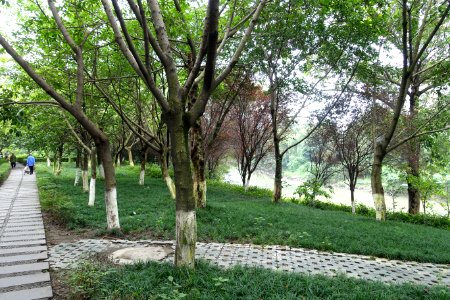 Dashahe River Greenway - Chengdu, China - DSC05528