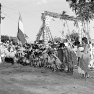 De bevolking van Groningen bij het bezoek van de koningin, Bestanddeelnr 252-4725