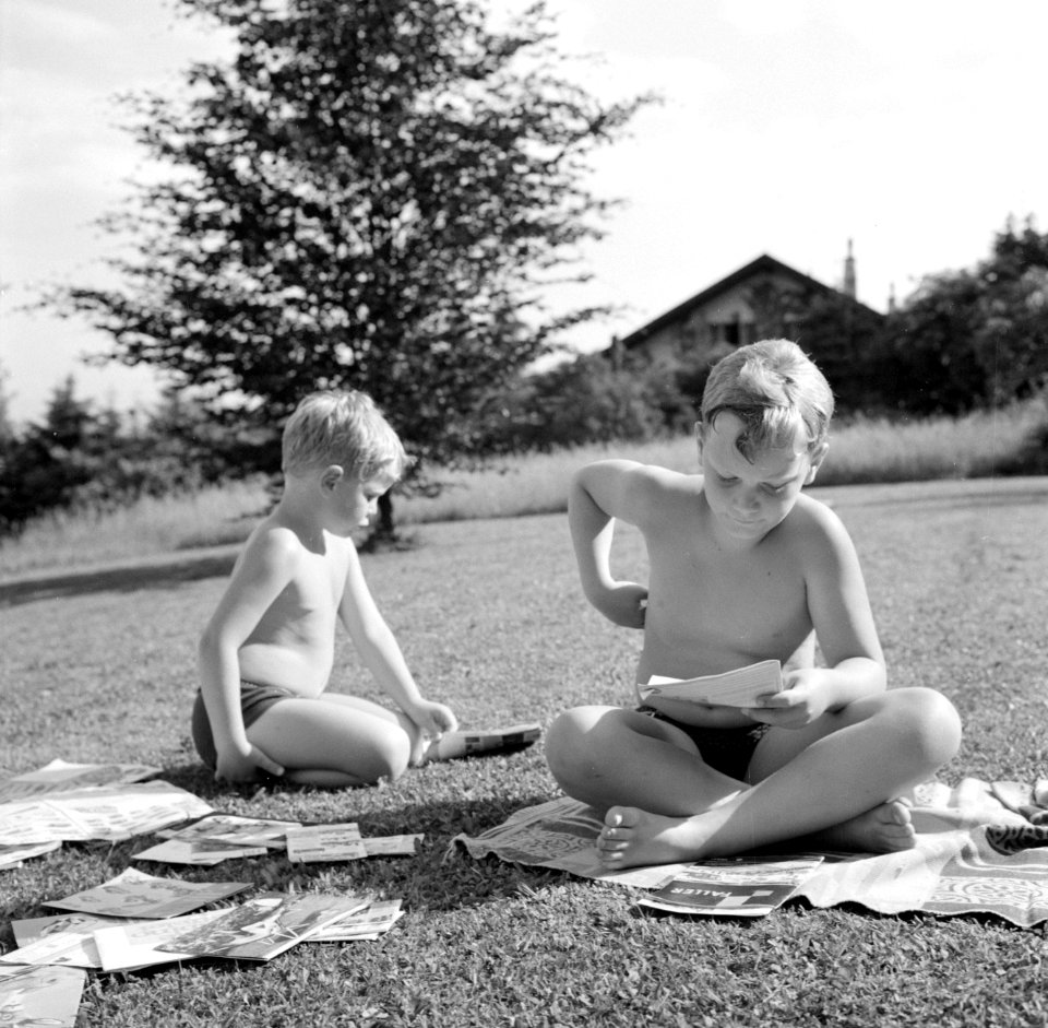 De zoontjes Kreisselmeier zitten op het gras te lezen in tijdschriften en modelb, Bestanddeelnr 254-5081