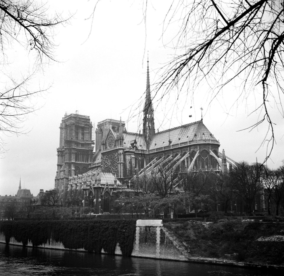 De Notre Dame op de Île de la Cité, een eiland in de rivier de Seine, Bestanddeelnr 254-0220