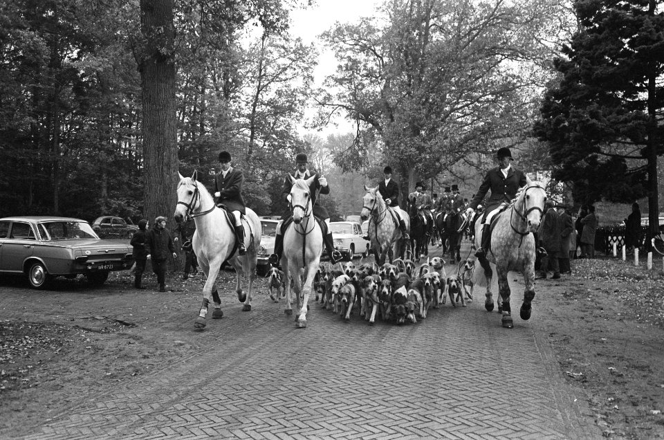 De slipjacht gaat met de ruiters en de meute foxterriërs van start, Bestanddeelnr 919-7574