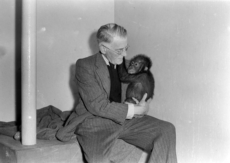 De orang-oetan Kobus van het eiland Borneo Geschonken door de bemanning van de , Bestanddeelnr 901-8778