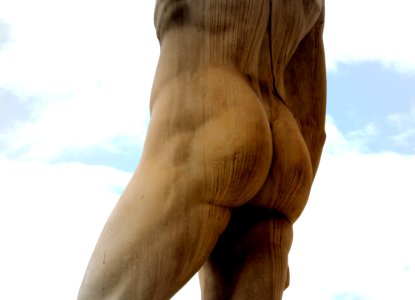 David´s Backside